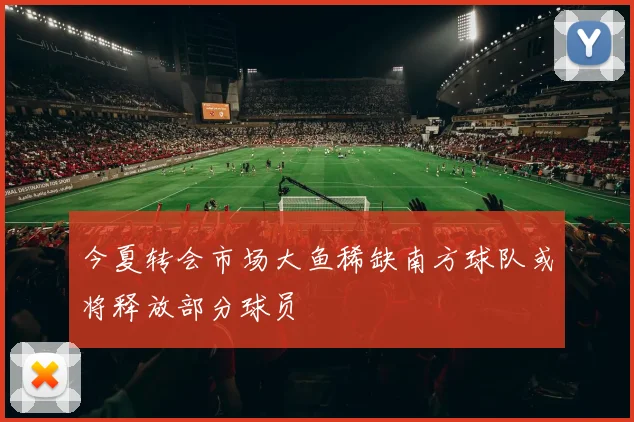 今夏转会市场大鱼稀缺南方球队或将释放部分球员